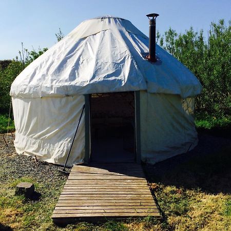 Mill Haven Place Glamping-Yurt 2 Haverfordwest Exteriör bild
