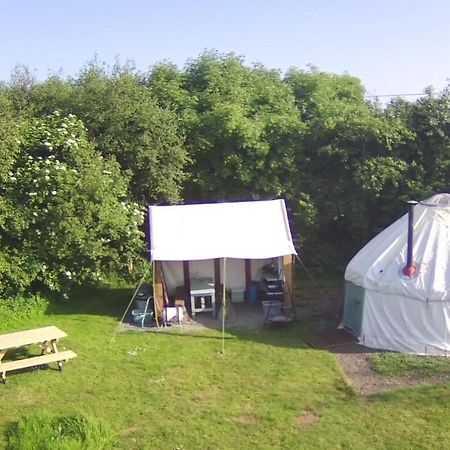 Mill Haven Place Glamping-Yurt 2 Haverfordwest Exteriör bild