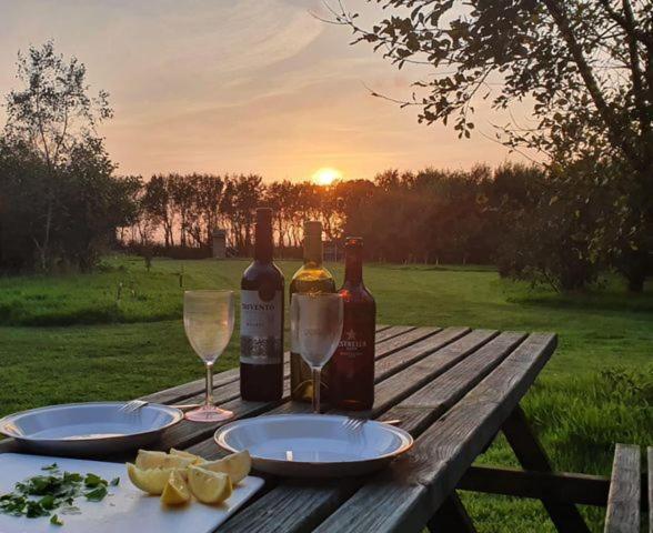 Mill Haven Place Glamping-Yurt 2 Haverfordwest Exteriör bild
