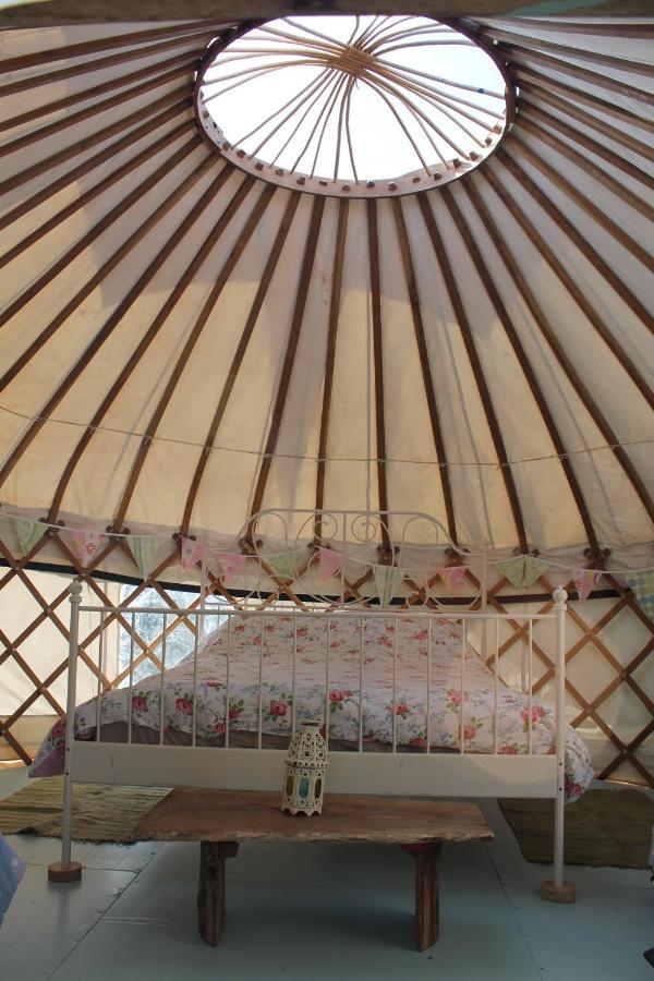 Mill Haven Place Glamping-Yurt 2 Haverfordwest Exteriör bild
