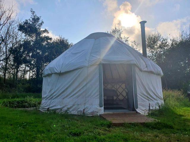 Mill Haven Place Glamping-Yurt 2 Haverfordwest Exteriör bild