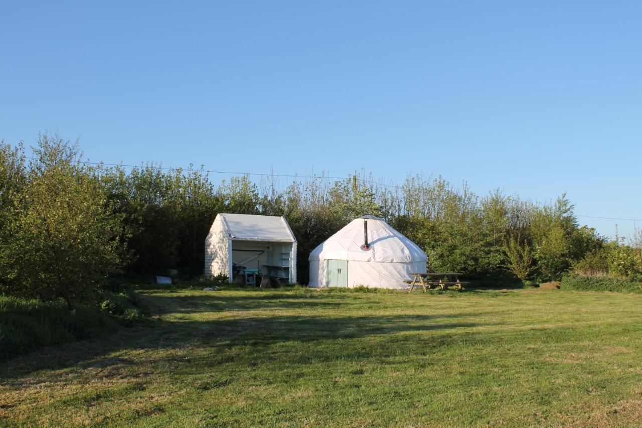 Mill Haven Place Glamping-Yurt 2 Haverfordwest Exteriör bild