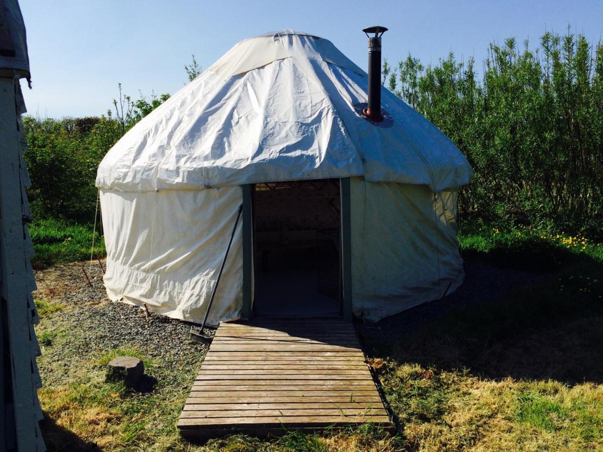 Mill Haven Place Glamping-Yurt 2 Haverfordwest Exteriör bild