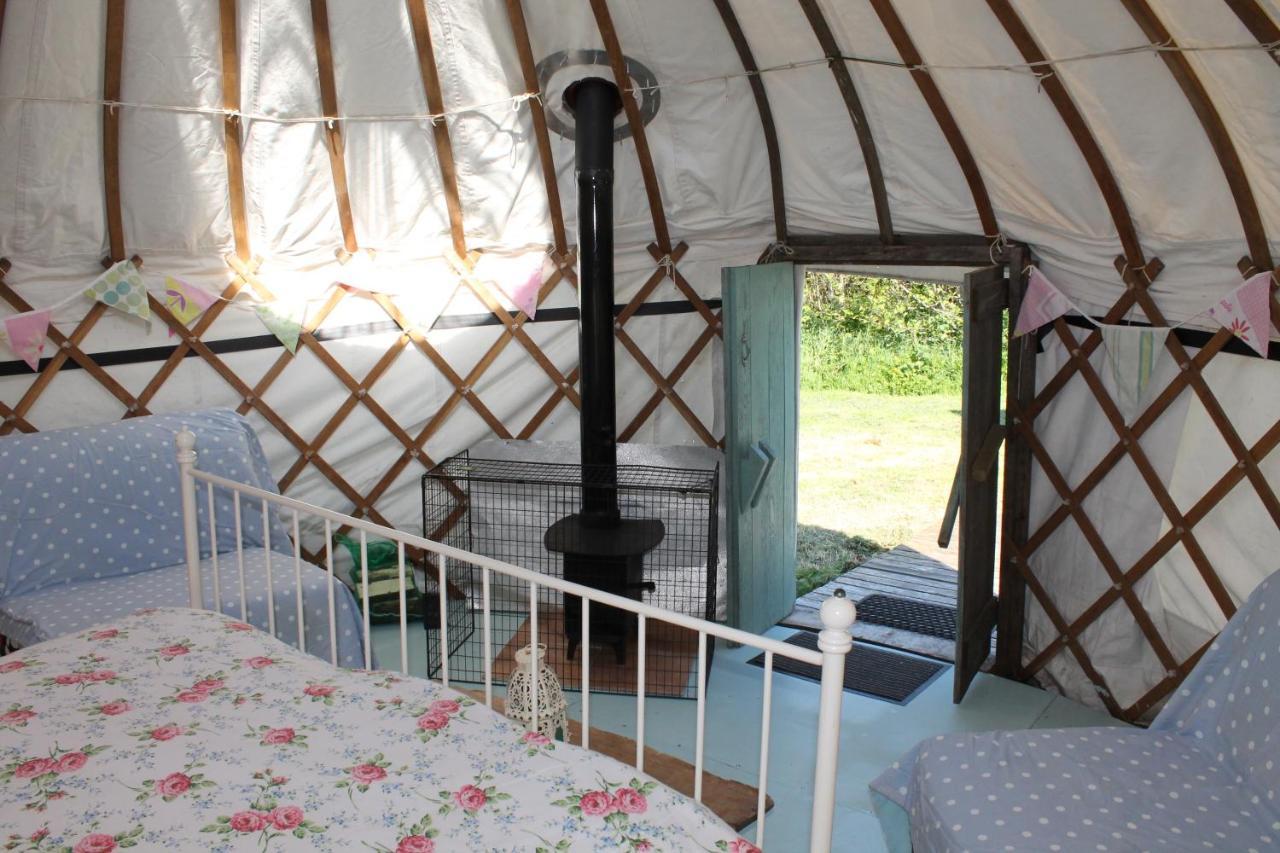 Mill Haven Place Glamping-Yurt 2 Haverfordwest Exteriör bild